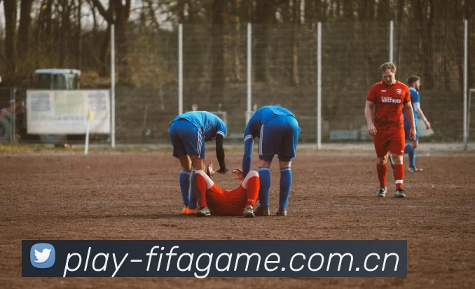 FIFA官方授权证书